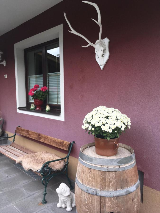 Ferienwohnung Haus Gsenger Abtenau Exterior foto